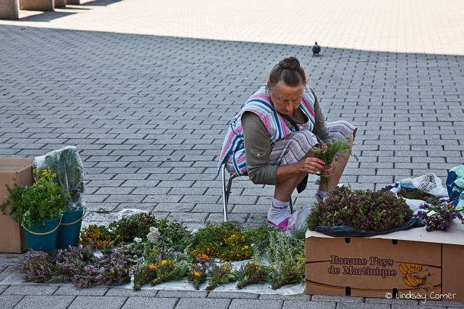 A Lithuanian woman preparing her flowers for sale on the streets of Vilnius, Lithuania.